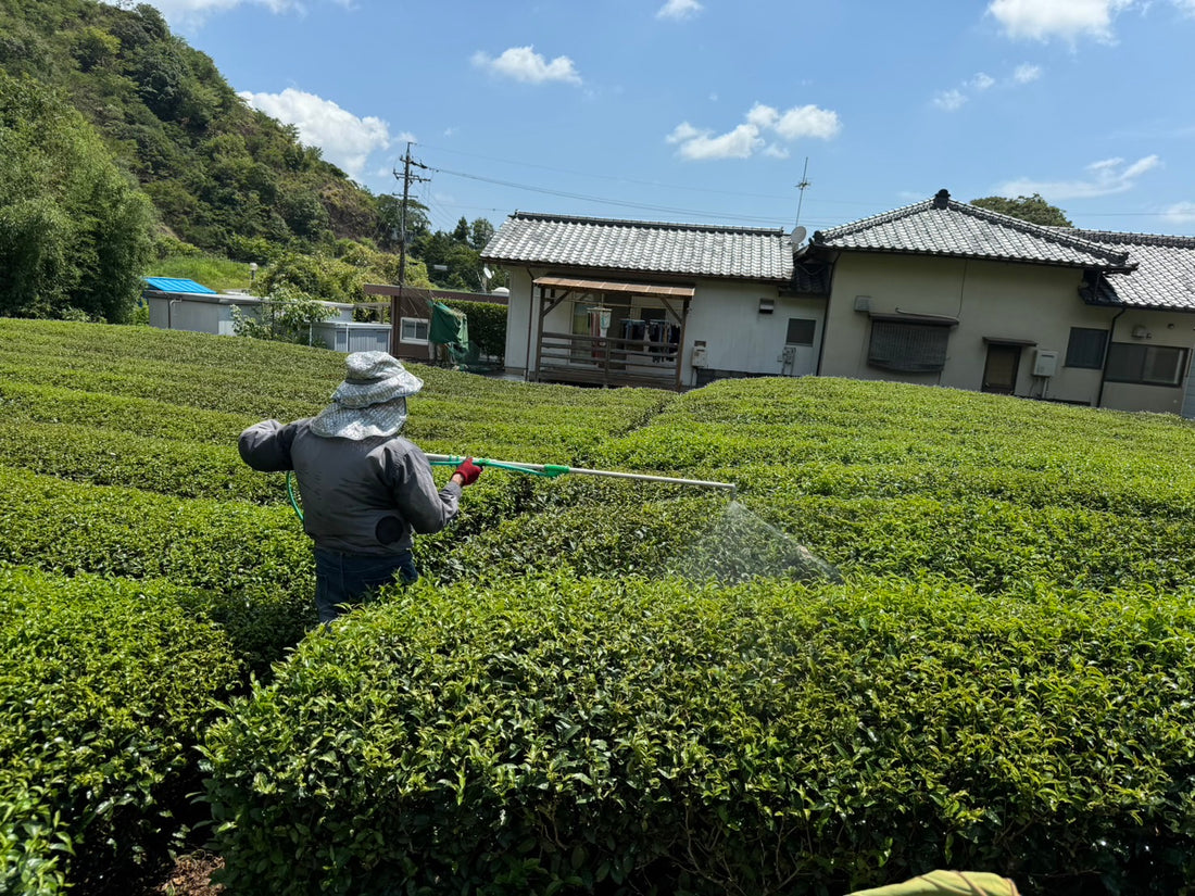 農家の四季　夏編