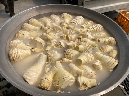 茹で筍（あく抜き済み）使いやすい3パックセット