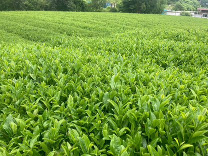 33farm AOI 　大地の恵みセット　ギフトにもおすすめ　満喫セット